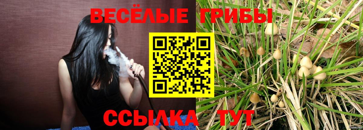 Псилоцибиновые грибы мицелий Ишим
