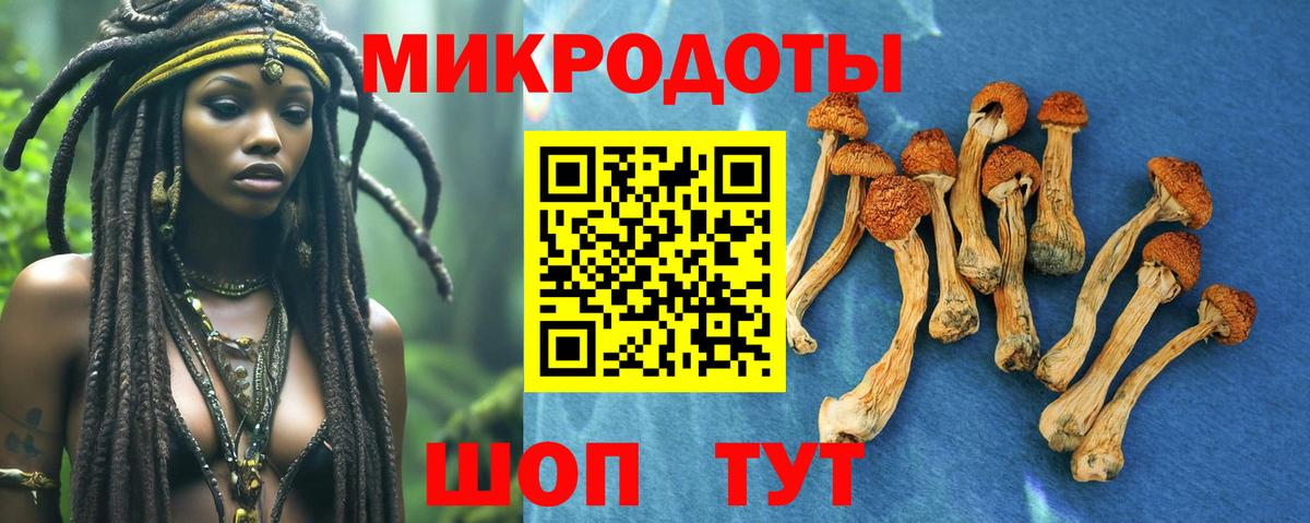 Псилоцибиновые грибы Psilocybine cubensis  Вход с VPN  Ишим 
